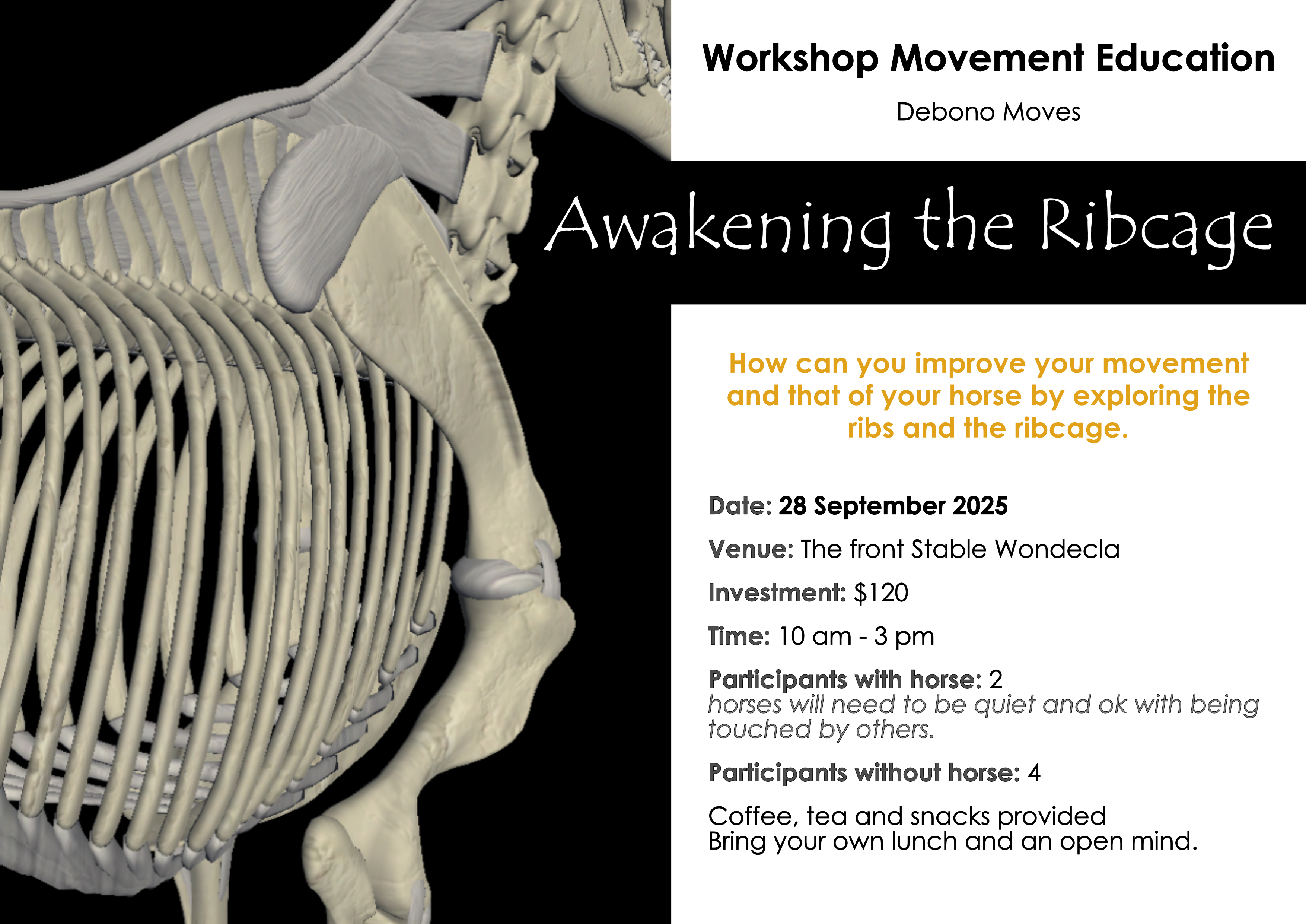 Movement Education Continues